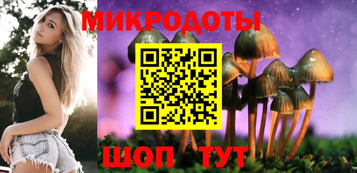Краснодар  Псилоцибиновые грибы GOLDEN TEACHER  Вход с VPN 