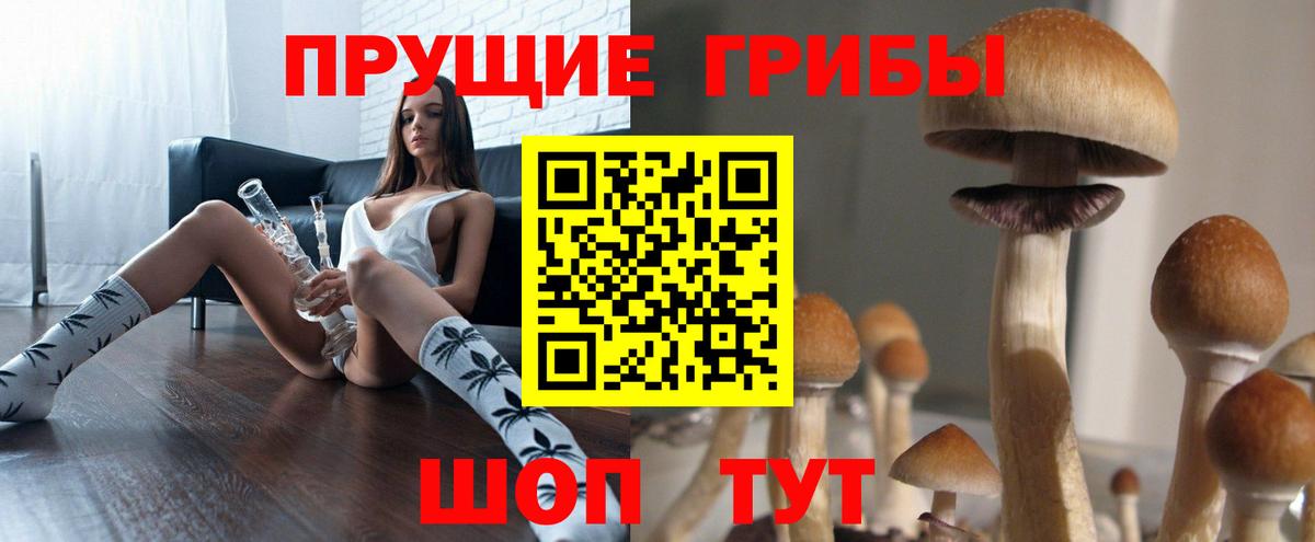 Псилоцибиновые грибы прущие грибы Краснодар